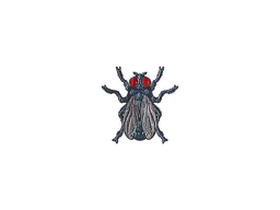 Fruit Fly (Foil)